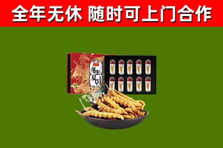 泉港回收冬虫夏草价格