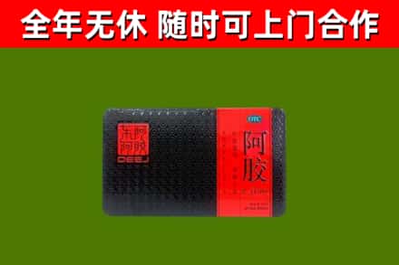 泉港回收阿胶