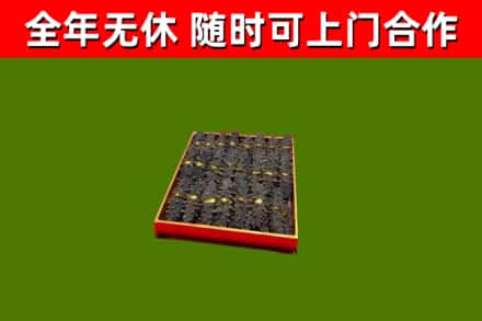 泉港回收海参